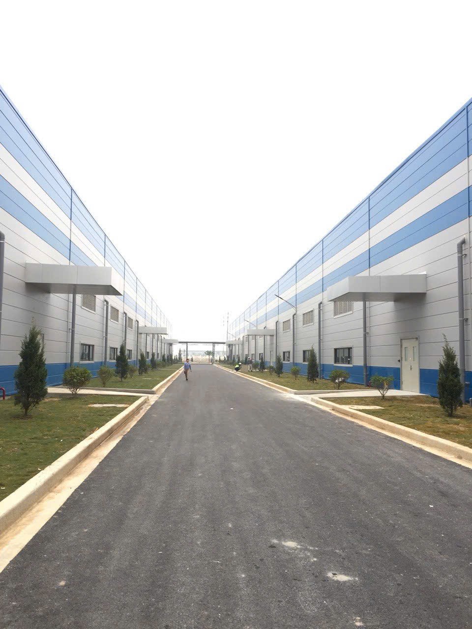 z5896226147506b447a326cc8b19c1703d45d39a1a3ae8